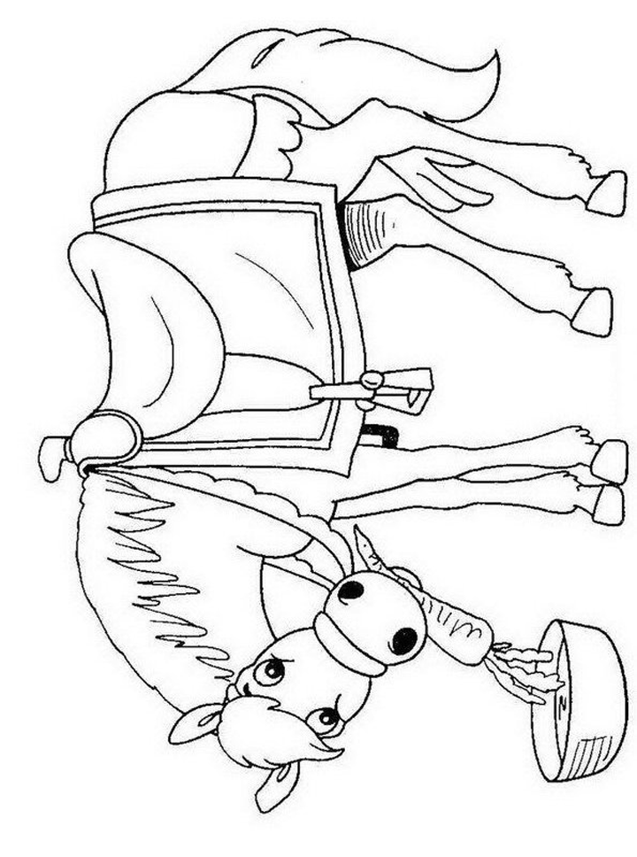 Kleurplaat paard van Sinterklaas